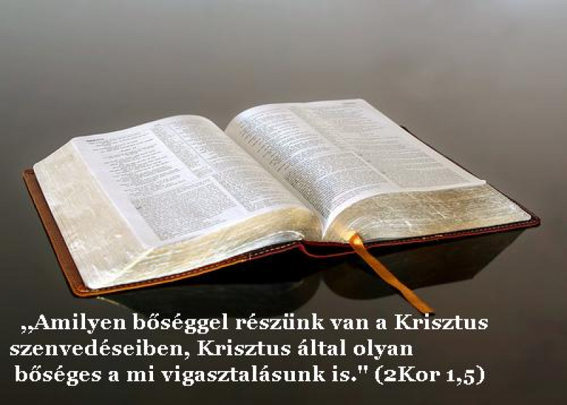 Gyászolók vasárnapja Gyászolók vasárnapja