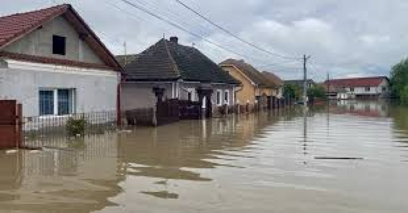 Segélypersely! Segélypersely!